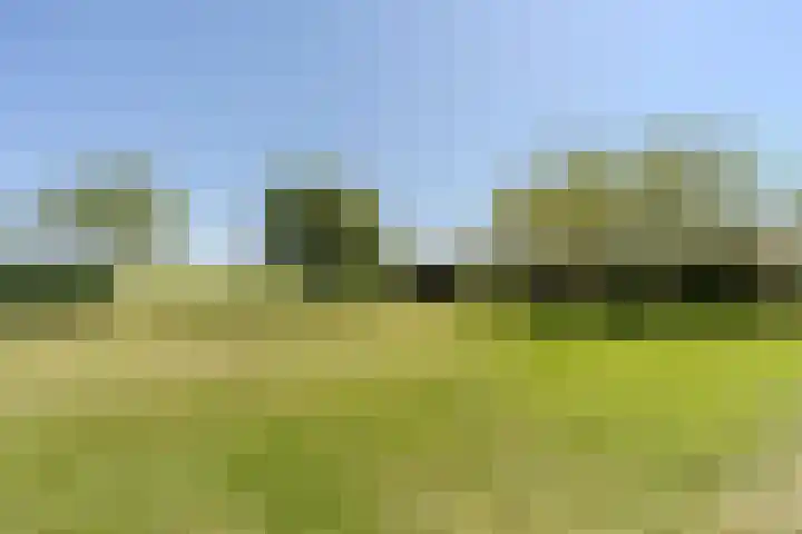 Weerwille 15 Ruinerwold thumbnail 69