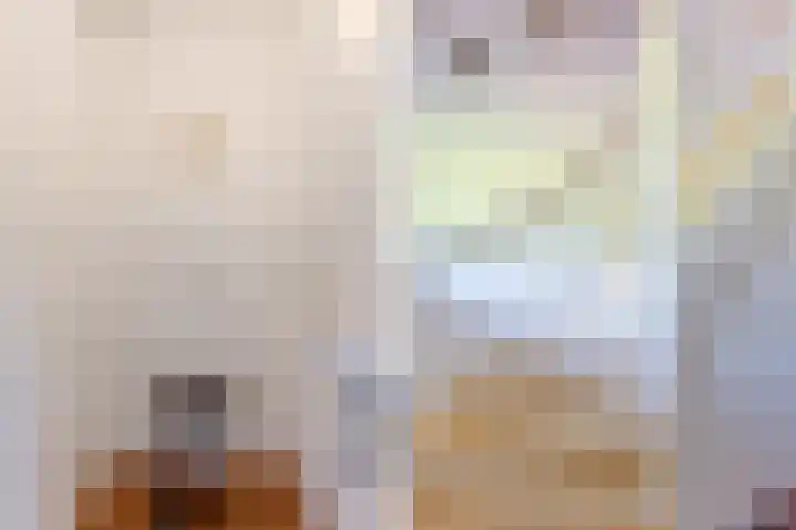 Weerwille 15 Ruinerwold thumbnail 7