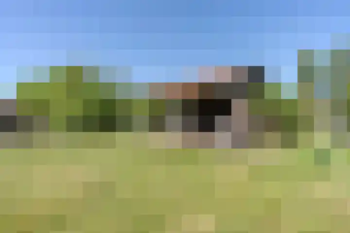 Weerwille 15 Ruinerwold thumbnail 70