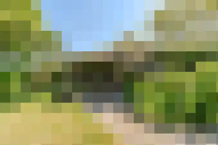 Weerwille 15 Ruinerwold thumbnail 72