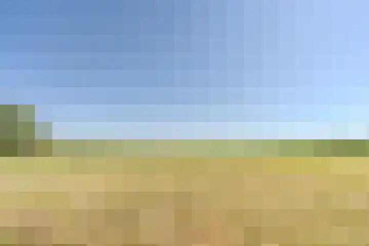 Weerwille 15 Ruinerwold thumbnail 73