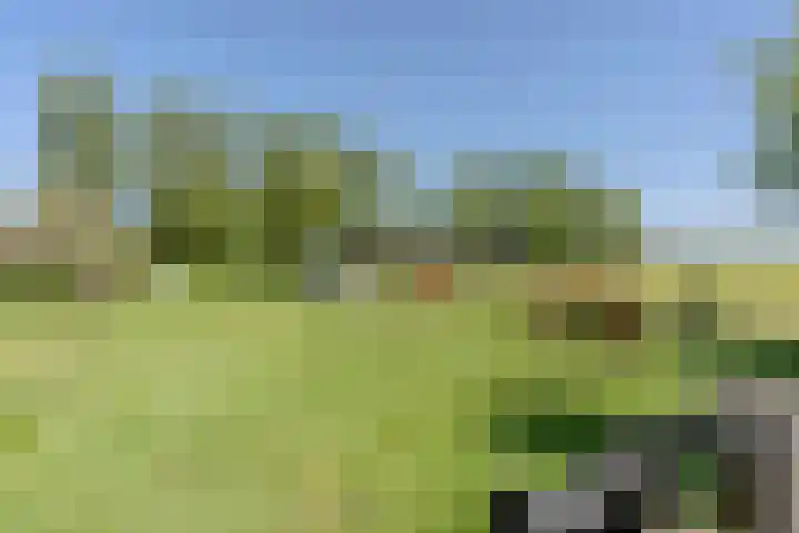 Weerwille 15 Ruinerwold thumbnail 74