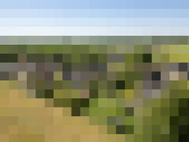 Weerwille 15 Ruinerwold thumbnail 75