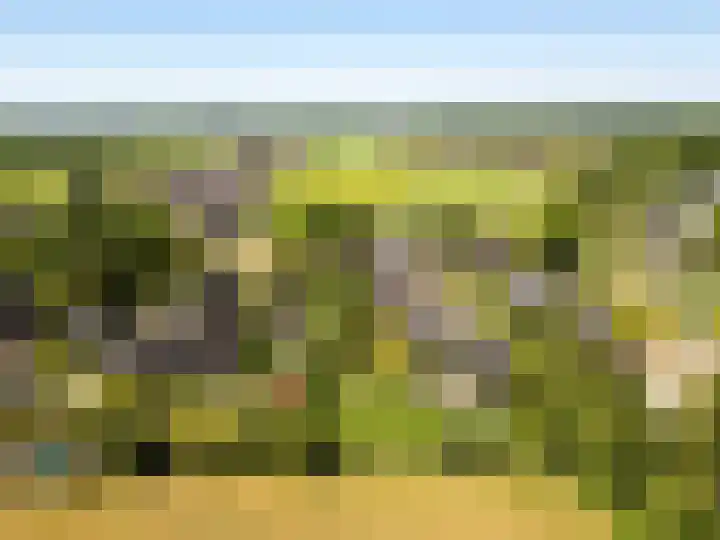 Weerwille 15 Ruinerwold thumbnail 76