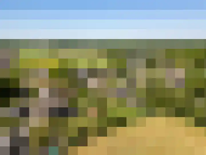 Weerwille 15 Ruinerwold thumbnail 77