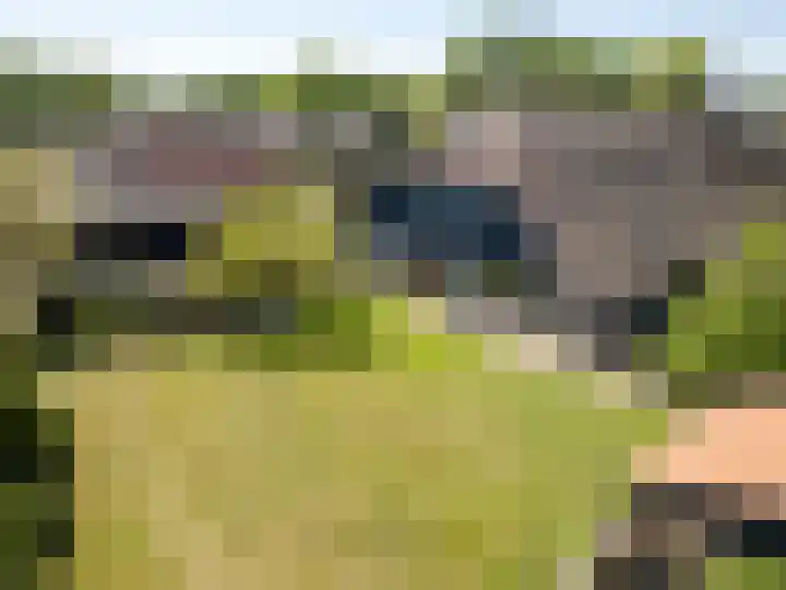 Weerwille 15 Ruinerwold thumbnail 79