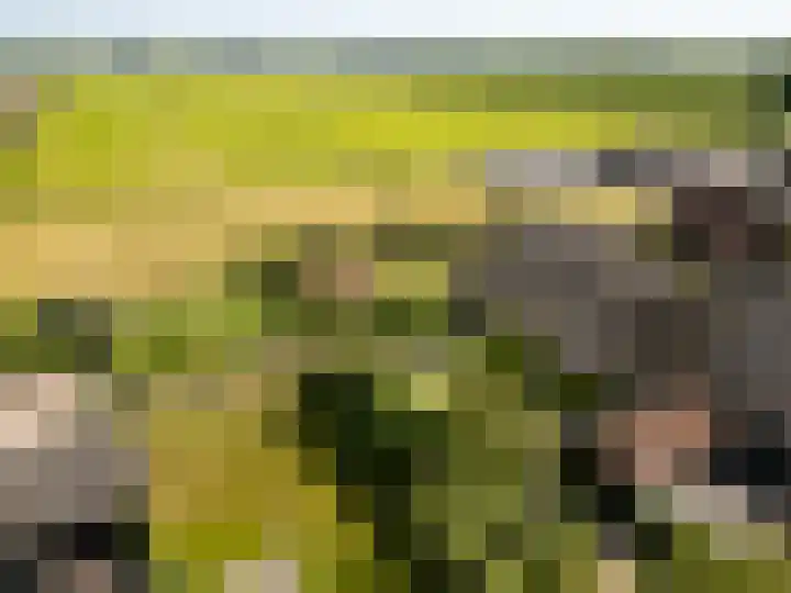 Weerwille 15 Ruinerwold thumbnail 80