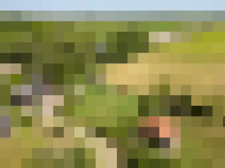 Weerwille 15 Ruinerwold thumbnail 81