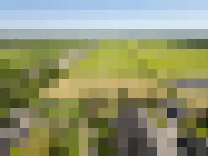 Weerwille 15 Ruinerwold thumbnail 82