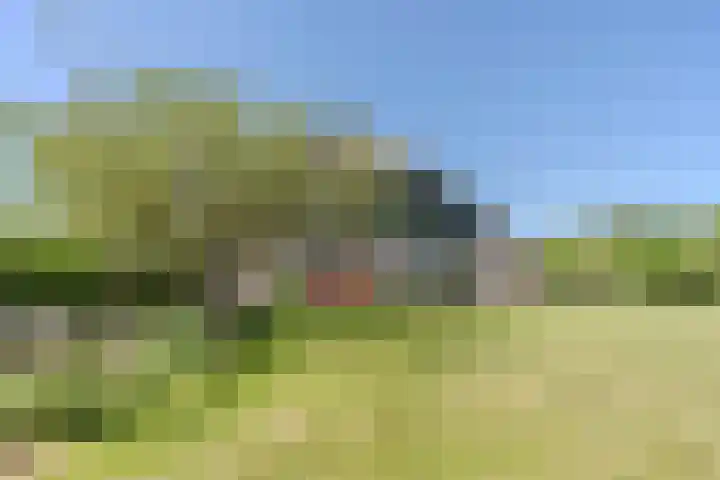 Weerwille 15 Ruinerwold thumbnail 89