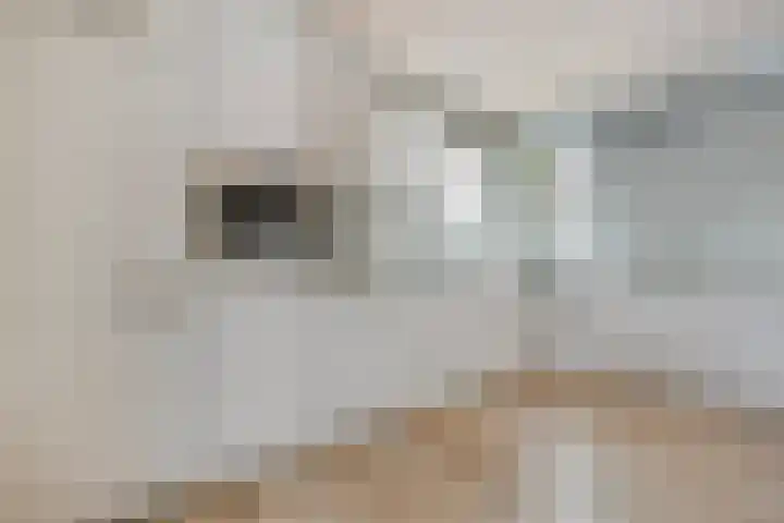 Weerwille 3 a Ruinerwold thumbnail 11