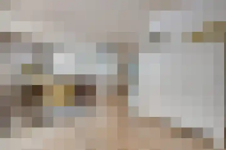 Weerwille 3 a Ruinerwold thumbnail 13