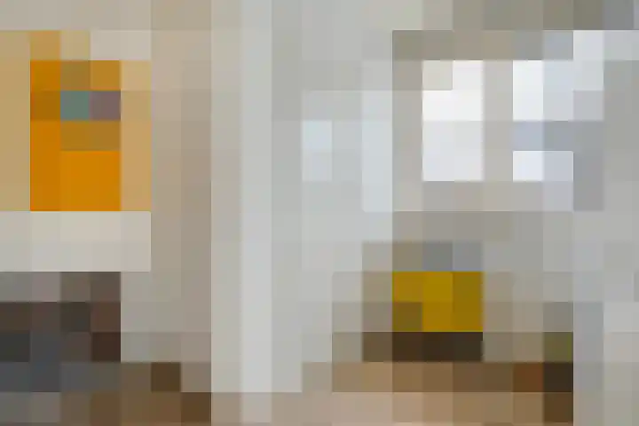 Weerwille 3 a Ruinerwold thumbnail 16