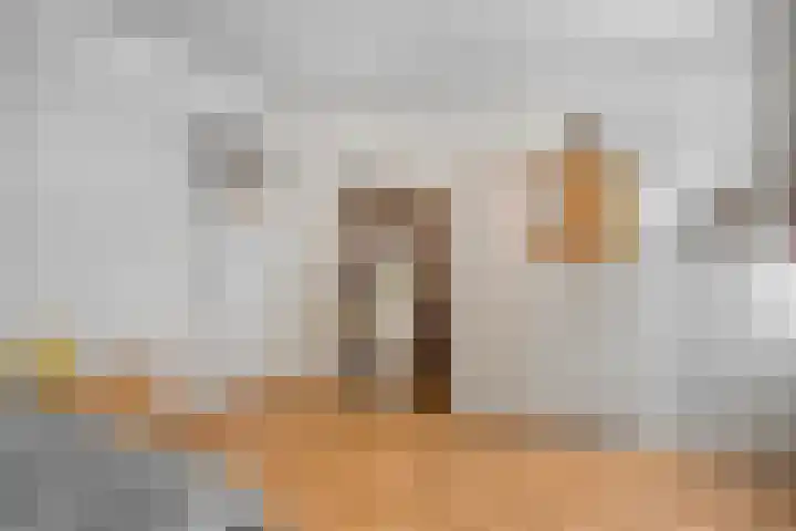 Weerwille 3 a Ruinerwold thumbnail 26