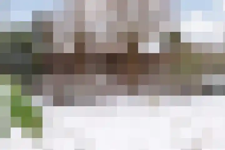 Weerwille 3 a Ruinerwold thumbnail 35