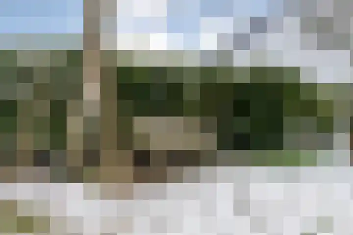 Weerwille 3 a Ruinerwold thumbnail 38