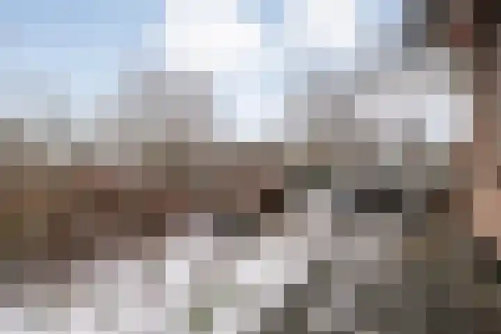 Weerwille 3 a Ruinerwold thumbnail 39