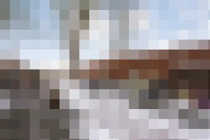 Weerwille 3 a Ruinerwold thumbnail 42