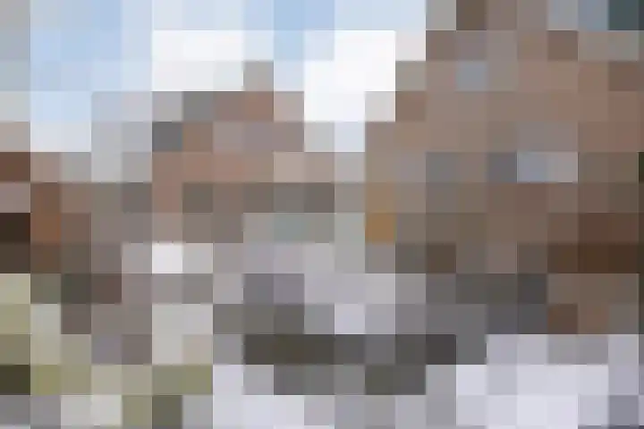 Weerwille 3 a Ruinerwold thumbnail 44