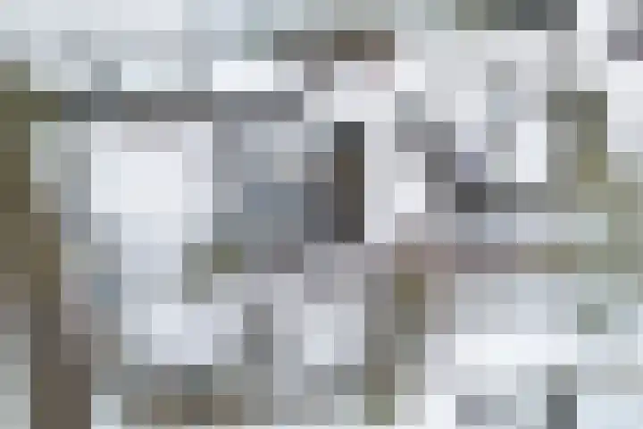 Weerwille 3 a Ruinerwold thumbnail 47