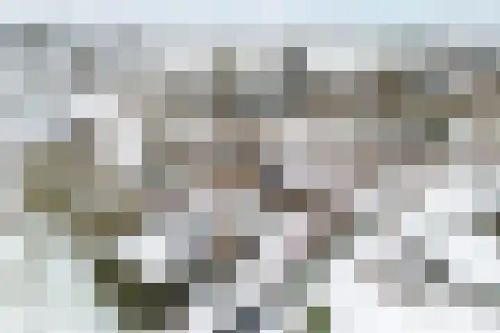 Weerwille 3 a Ruinerwold thumbnail 48