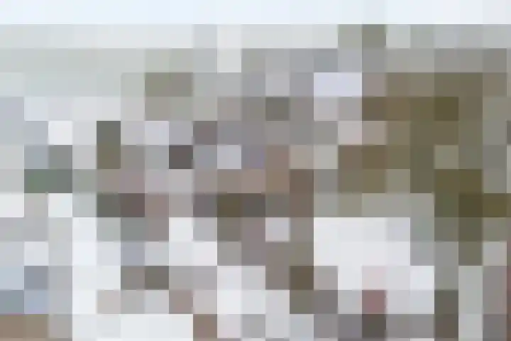 Weerwille 3 a Ruinerwold thumbnail 49