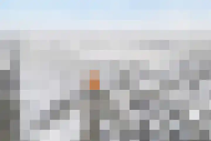 Weerwille 3 a Ruinerwold thumbnail 50