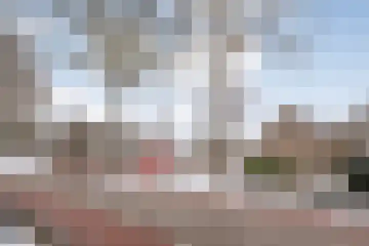 Weerwille 3 a Ruinerwold thumbnail 52