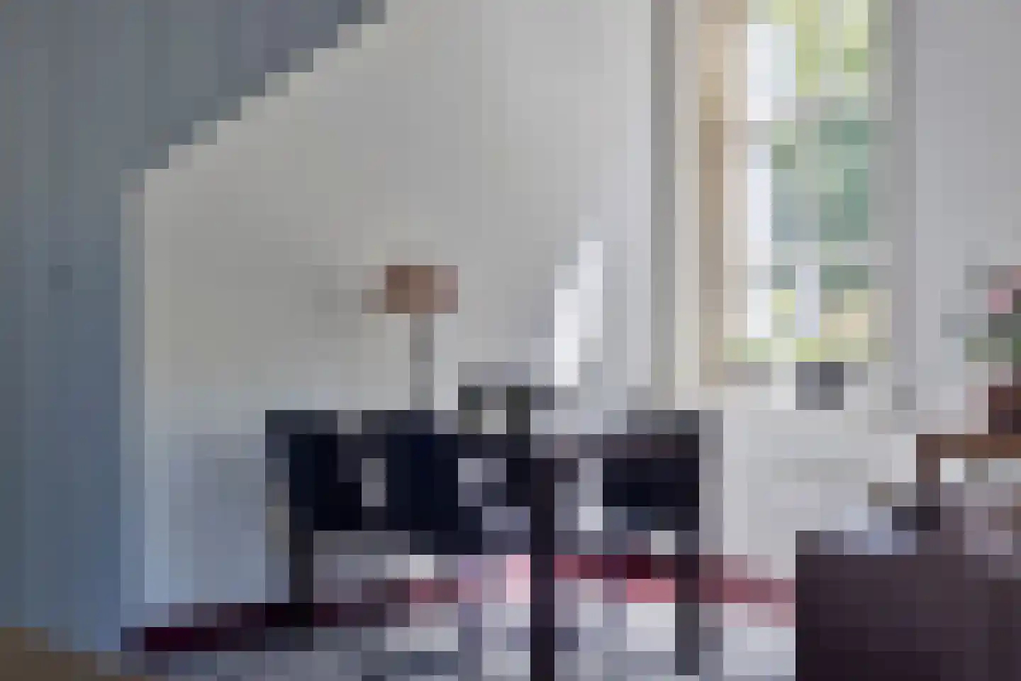Weerwilleweg 10 d Koekange thumbnail 19