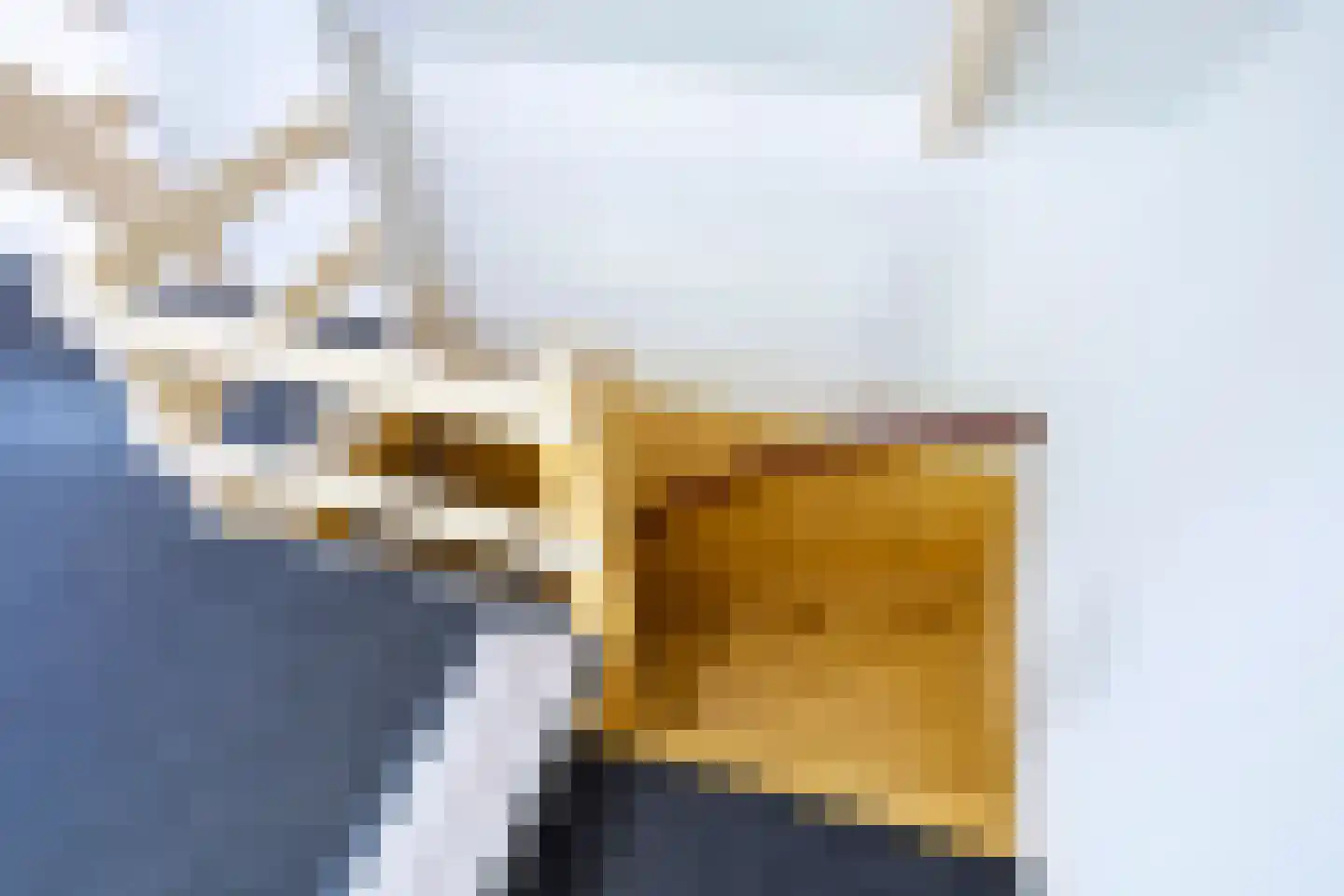 Weerwilleweg 10 d Koekange thumbnail 21