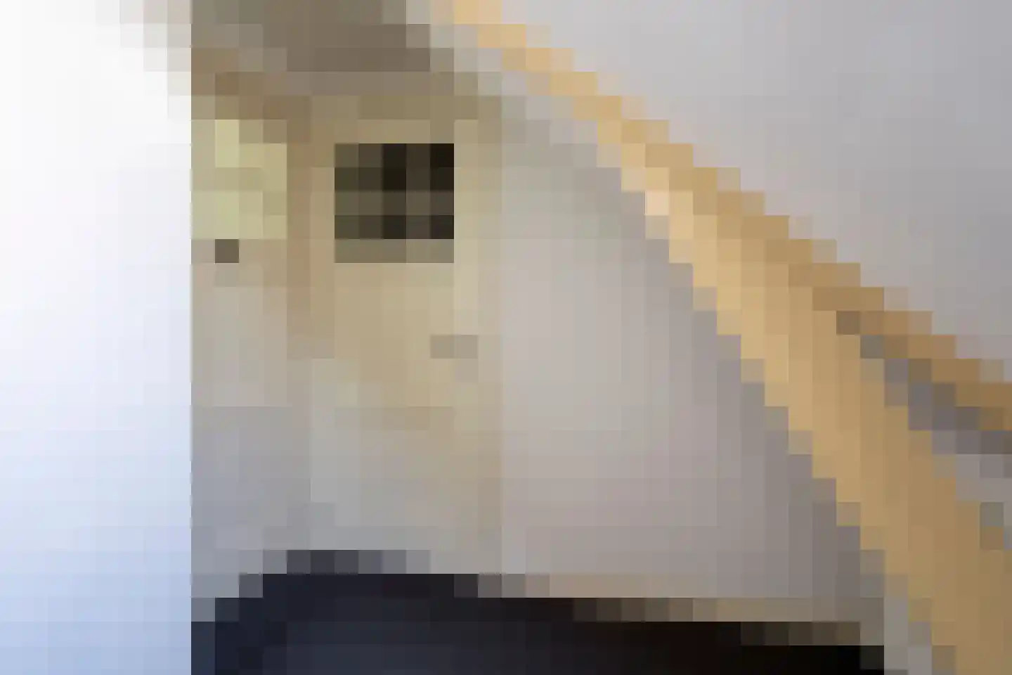 Weerwilleweg 10 d Koekange thumbnail 24