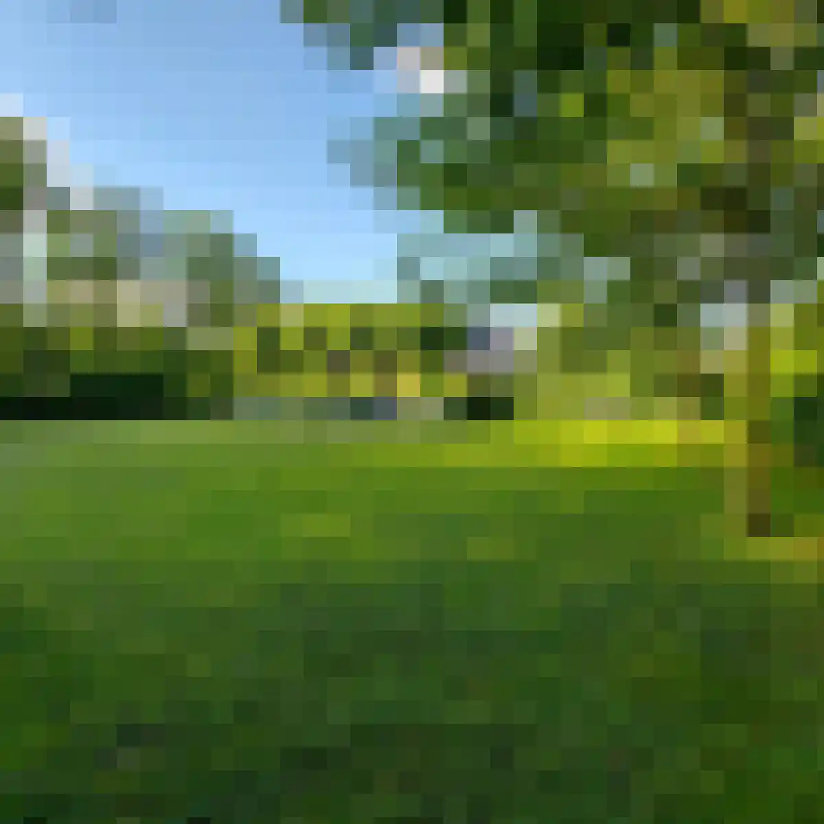 Weerwilleweg 10 d Koekange thumbnail 35