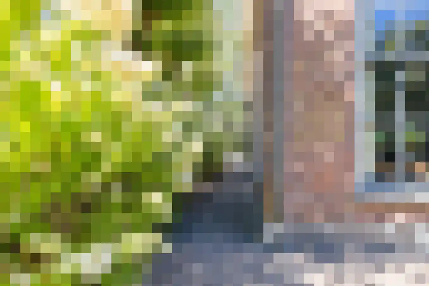 Weerwilleweg 10 d Koekange thumbnail 38