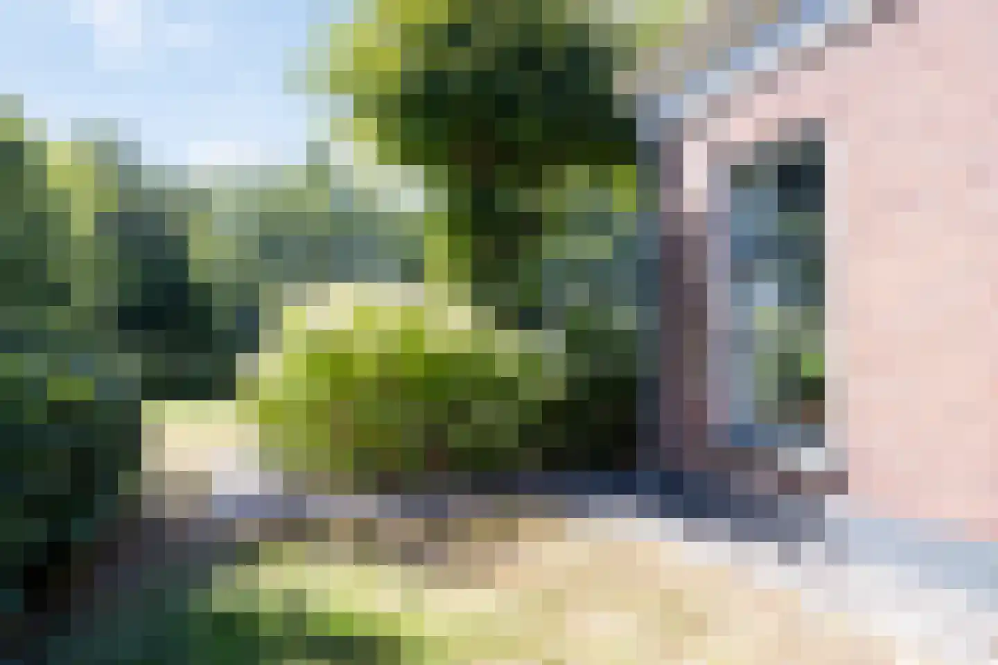 Weerwilleweg 10 d Koekange thumbnail 39