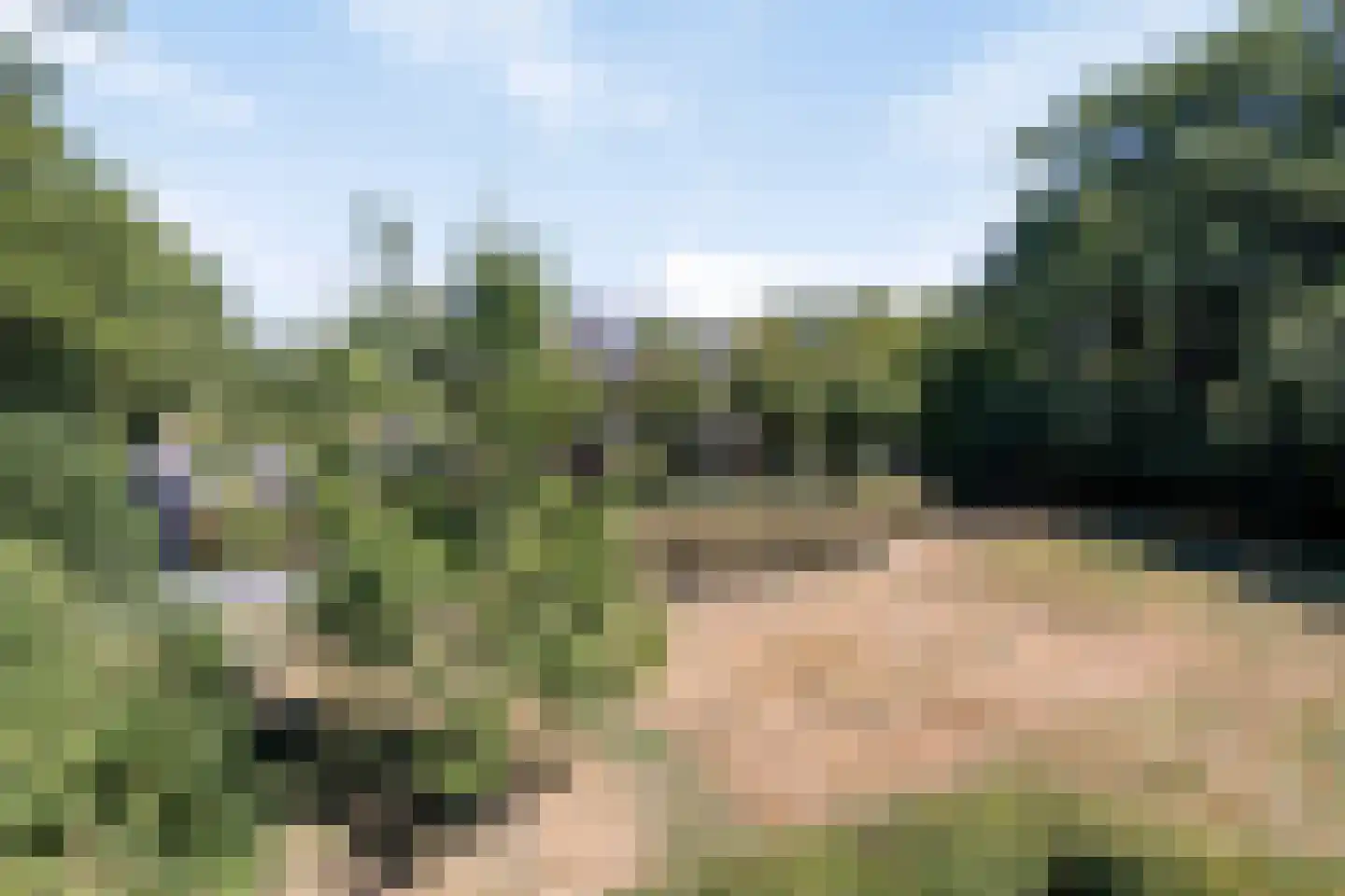 Weerwilleweg 10 d Koekange thumbnail 43
