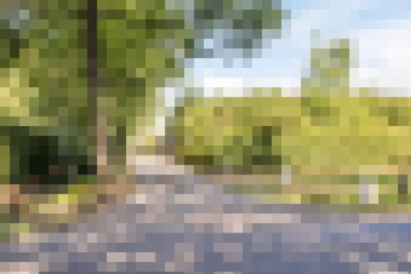 Weerwilleweg 10 d Koekange thumbnail 44