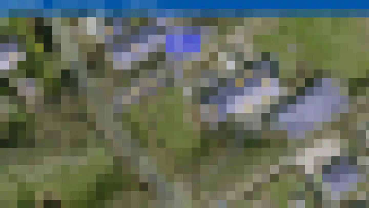 Weerwilleweg 10 d Koekange thumbnail 48