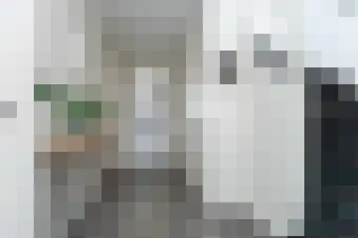 Weerwilleweg 24 Koekange thumbnail 17