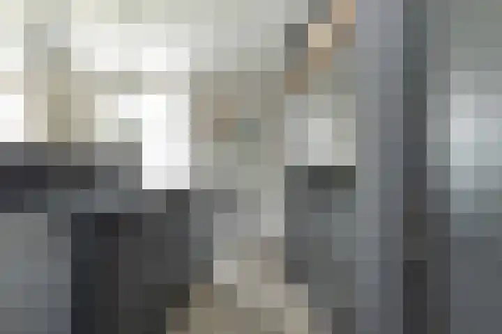 Weerwilleweg 24 Koekange thumbnail 23