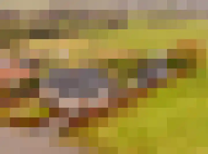 Weerwilleweg 24 Koekange thumbnail 4