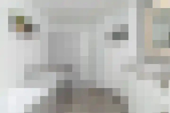 Weerwilleweg 24 Koekange thumbnail 47
