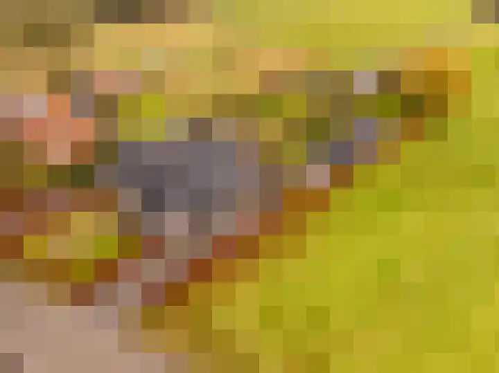 Weerwilleweg 24 Koekange thumbnail 50