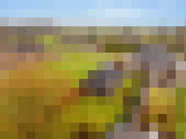 Weerwilleweg 24 Koekange thumbnail 51