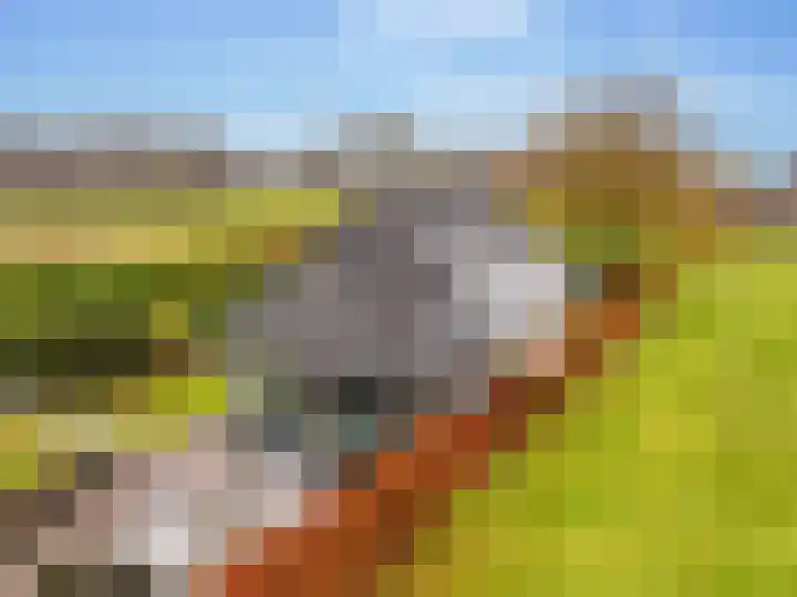Weerwilleweg 24 Koekange thumbnail 52