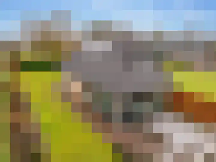 Weerwilleweg 24 Koekange thumbnail 53