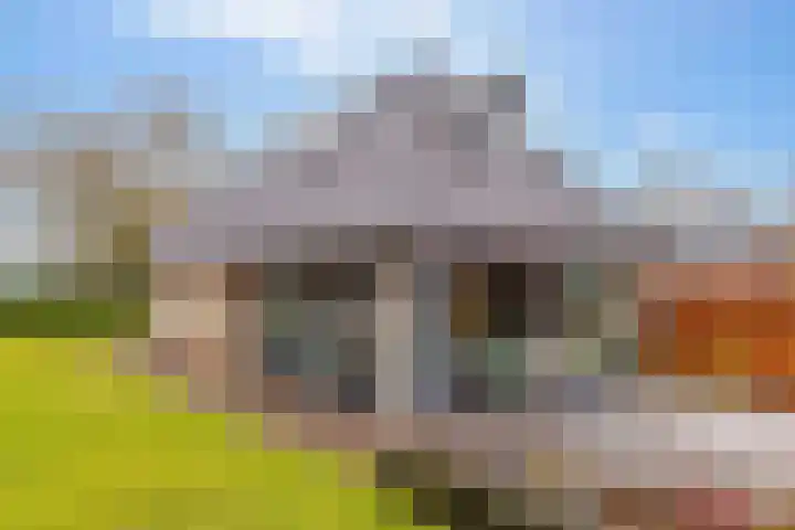 Weerwilleweg 24 Koekange thumbnail 55
