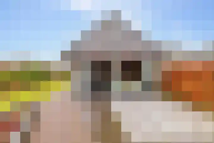Weerwilleweg 24 Koekange thumbnail 56