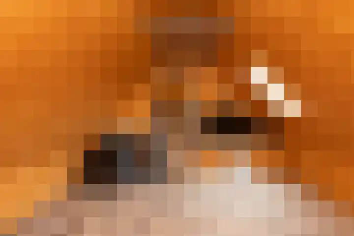 Weerwilleweg 24 Koekange thumbnail 63