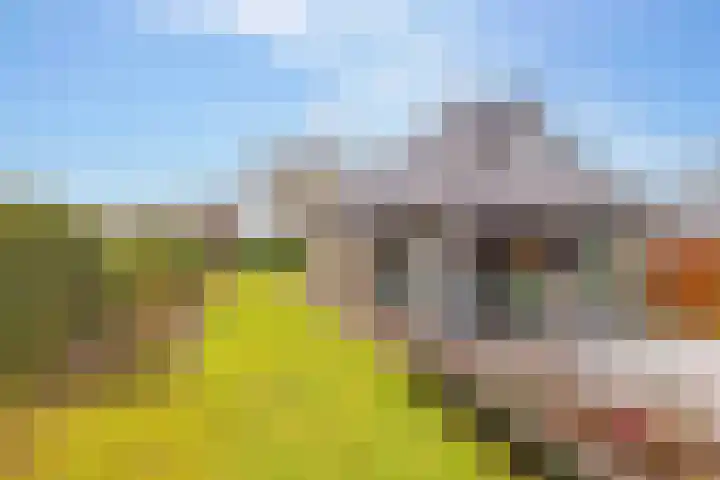 Weerwilleweg 24 Koekange thumbnail 68