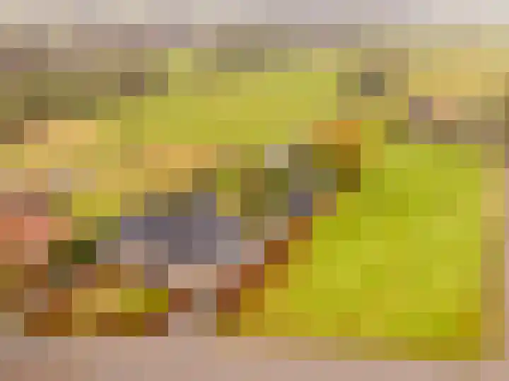 Weerwilleweg 24 Koekange thumbnail 72